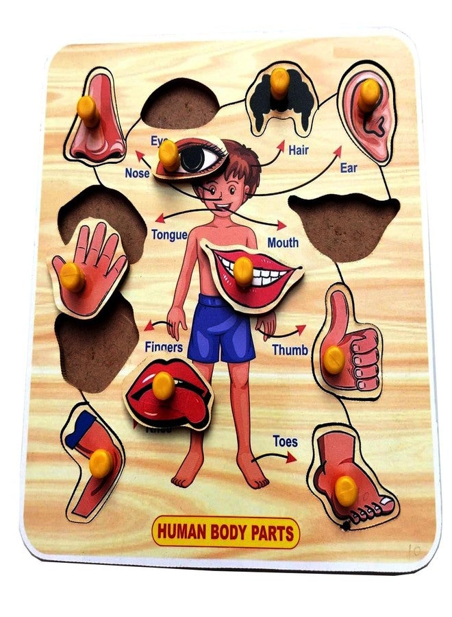 EL SMO Body Parts with Fruits & Vegetable Wooden Puzzle Toy, Educational Learning Board Game for Kids - Image 5